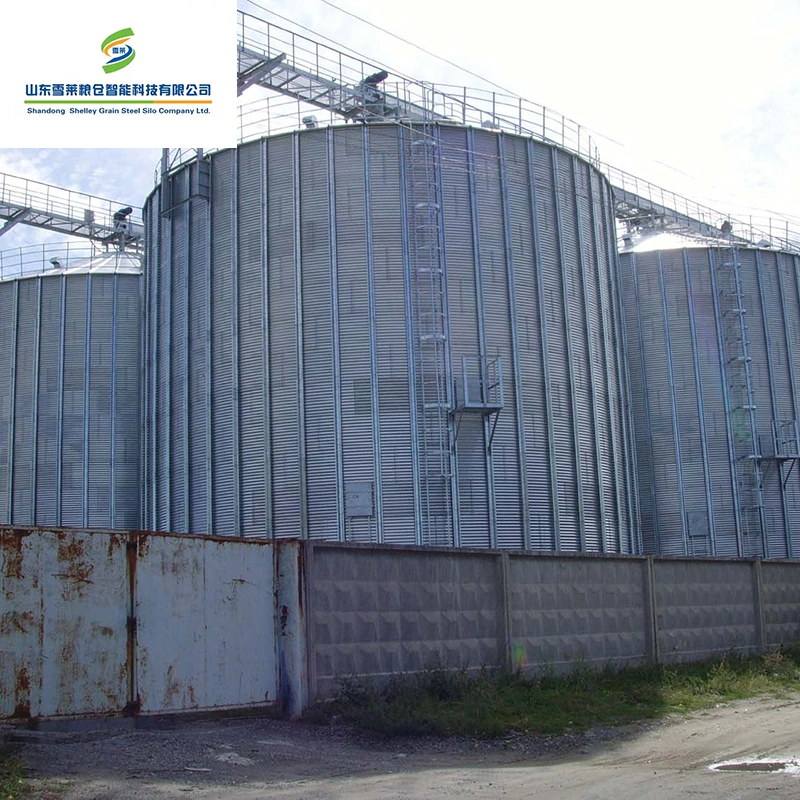 Granja de cerdos de aves de corral de alimentación utiliza almacenamiento molino de grano de acero de silo de fondo plano.