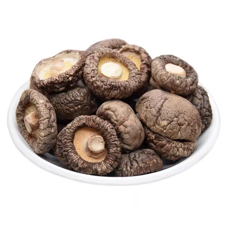 Organic Food Premium 3-4cm White Shiitake Mushroom