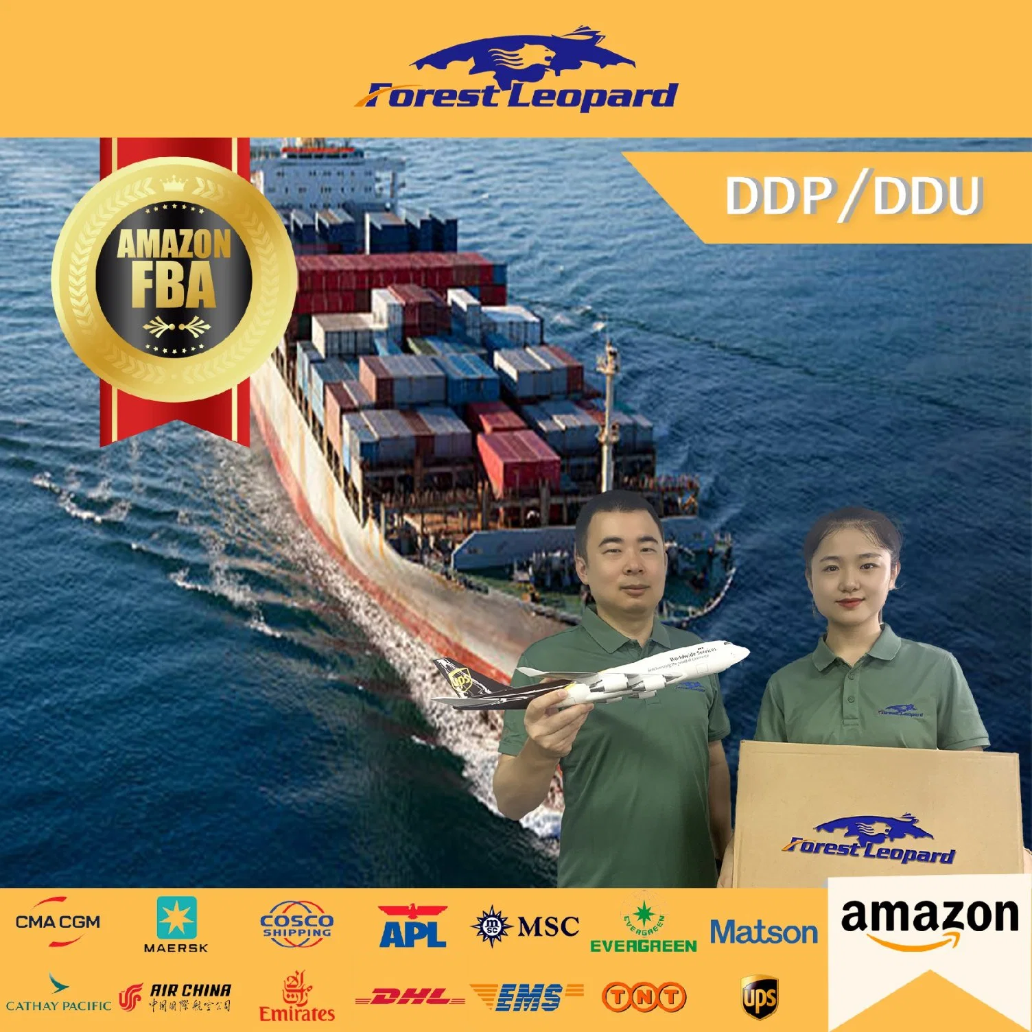 Good Price Cargo Ship Shenzhen Logistics to Dalla Shipping Forwarding Agent USA Canada Europe