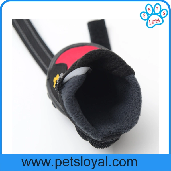 Amazon Standard Pet Shoes Dog Boots Factory Wholesale/Supplier