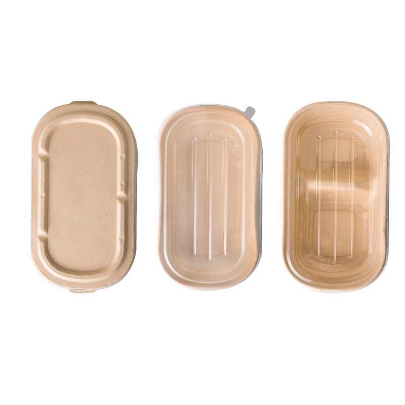 Degradable Disposable Lunch Box Bagasse Salad Takeaway Packaging Box Wholesale/Supplier