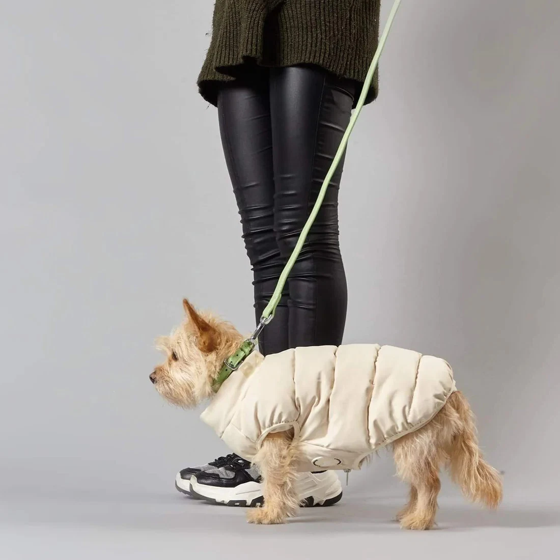 Perro crema Puffer Chaqueta resistente al agua caliente y