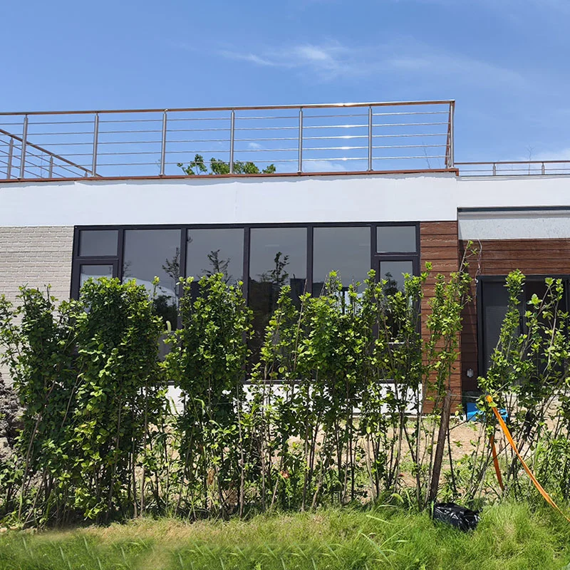 Escritório padrão de Campo de Luotong pré-fabricado da estrutura de aço leve da Nova Zelândia