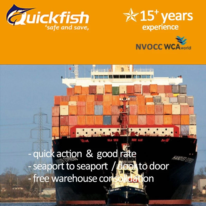 Discount Price with Sea Freight to Australia Shipping Logistics Services From China to Au/UK/USA, Alibaba Amazon Wholesal Cargo DDU DDP Door to Door