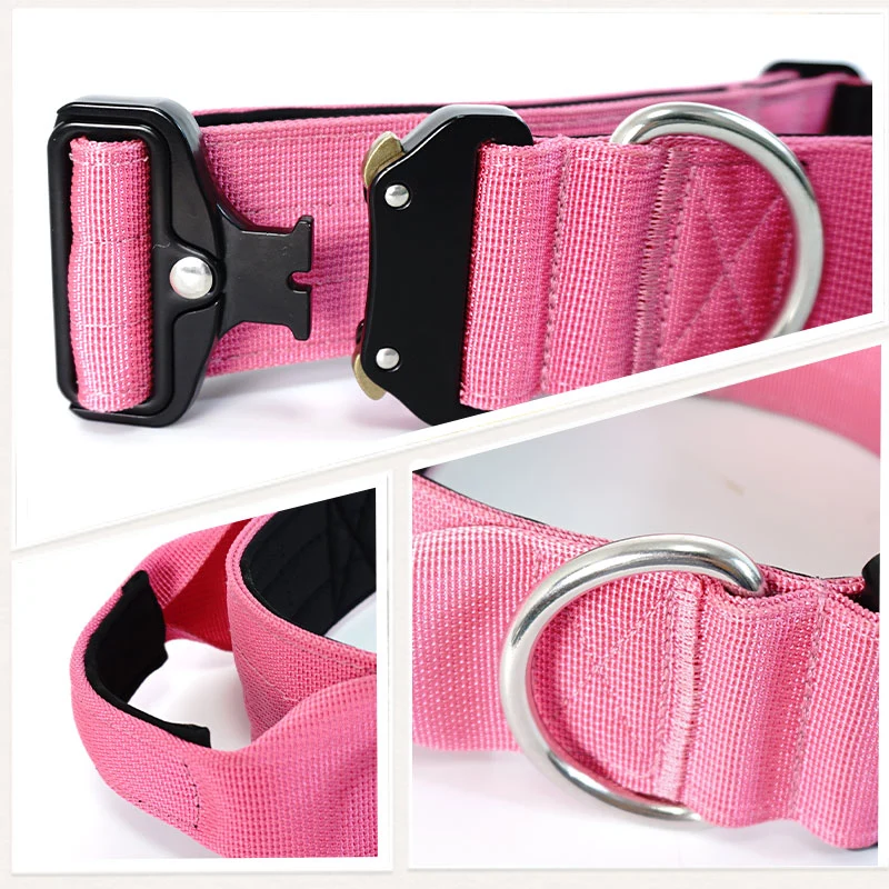 Petisland PET Collar Wholesale/Supplier produits PET Moyen grand chien en acier inoxydable Entraînement en nylon tressé à boucle personnalisée Nouveau design Snake boucle chien Collier