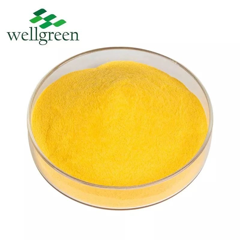 Wellgreen Food Grade Vitamin B9 Folic Acid Powder