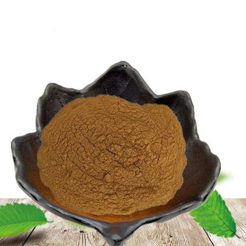 Factory Supply Natural Ginger Extract