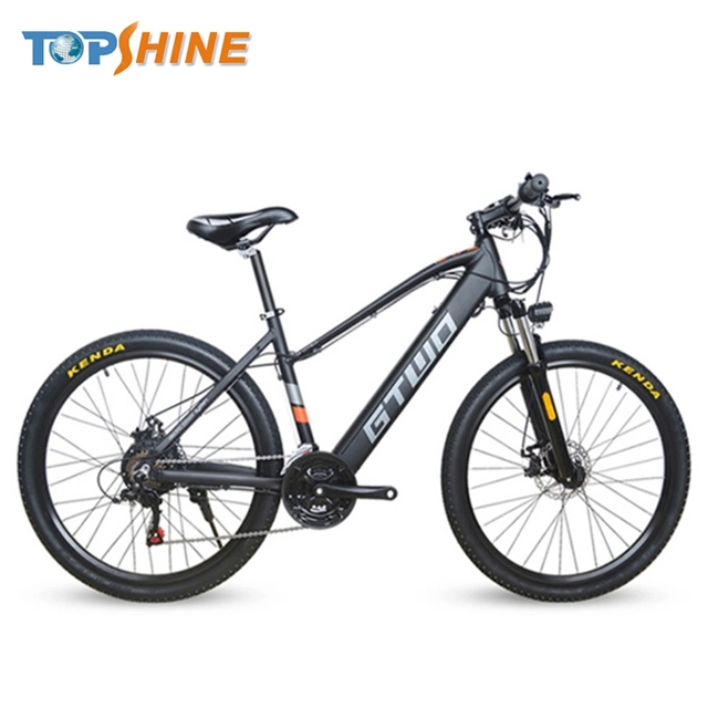 250W 36V 14A Mountain Electric Bicycle with CE En15194 Certificate