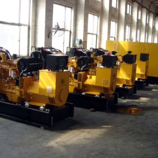 Gas Generator: 80kVA/88kw Farm, Straw Incineration, Pile Buried Biogas Generator, Natural Gas Multi-Source Applicable