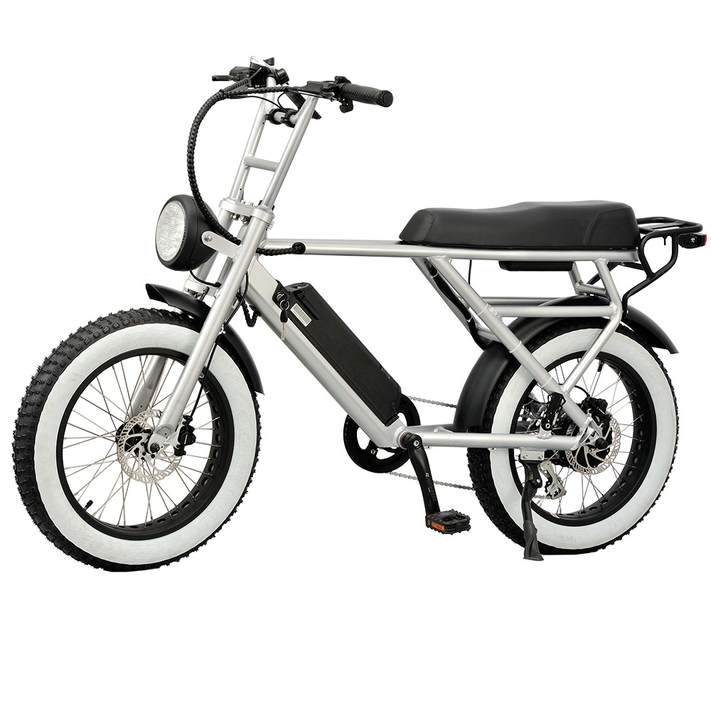 2022 تصميم جديد 20 بوصة دراجة رخيصة 500 واط الدهون الإطار دراجة كهربائية جبلية مع CE