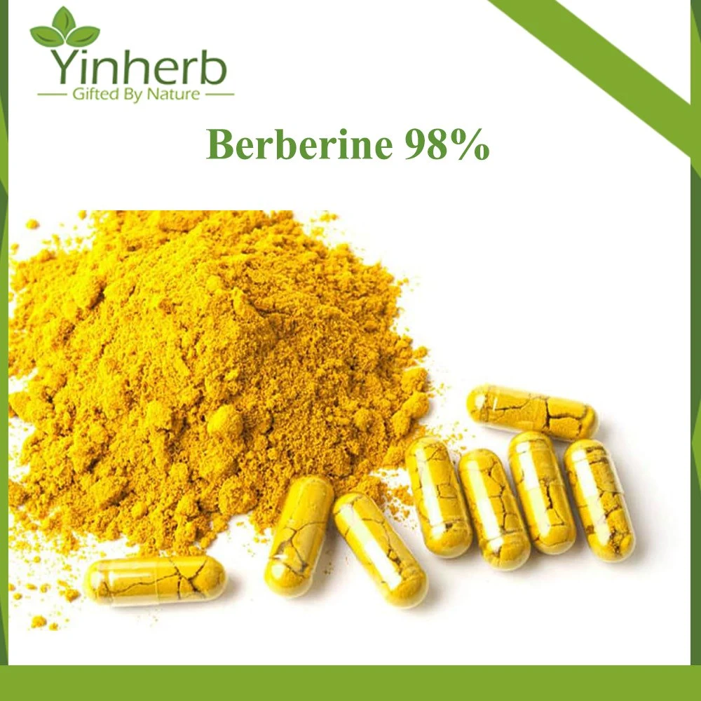 Wholesale Factory Price Berberis Aristata Extract 633-65-8 98% Berberine Hydrochloride Powder