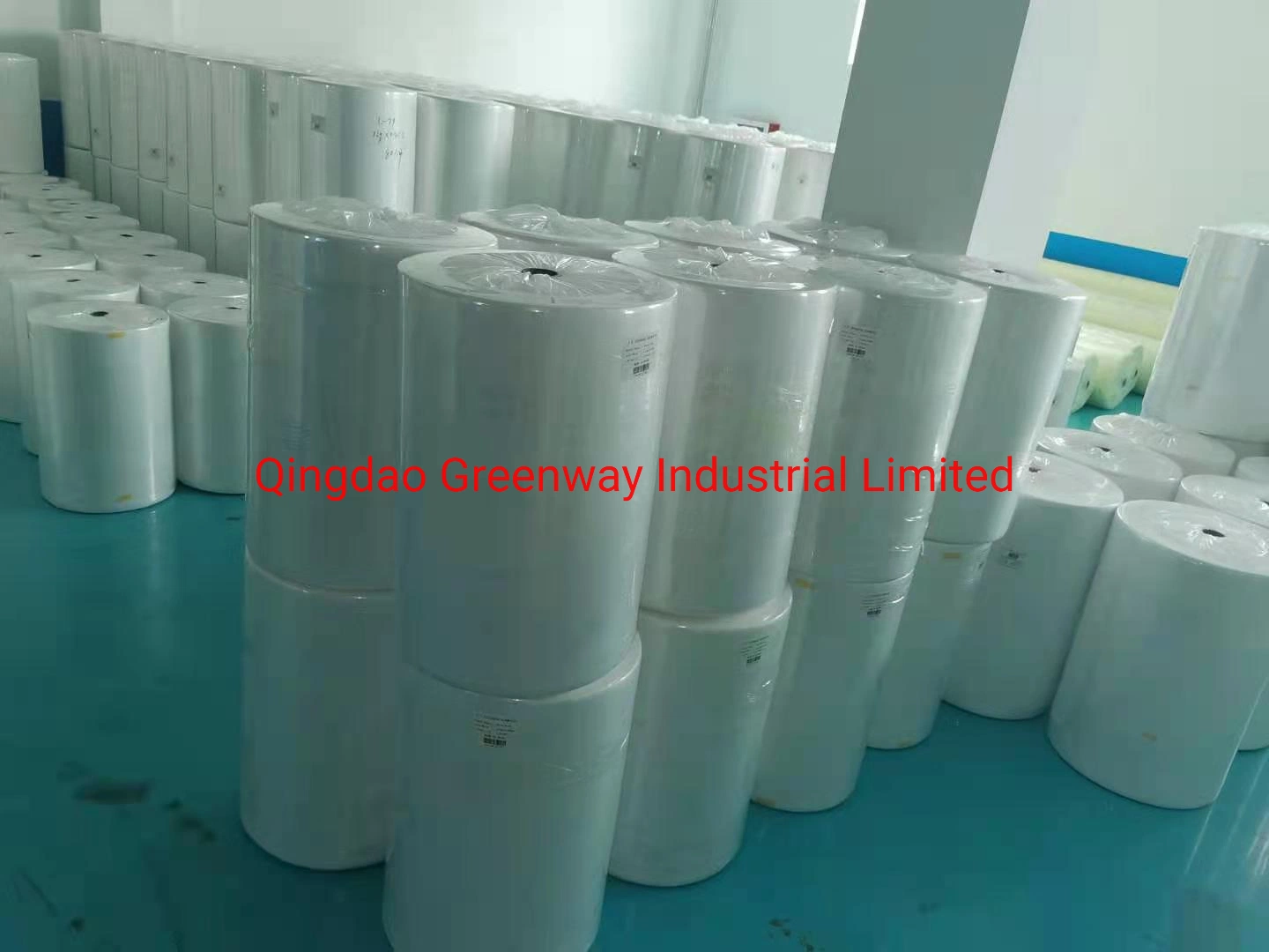 PP Nonwoven Fabric for Home Textile and Bag