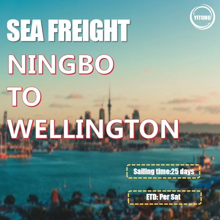 Maritime Freight From Xiamen to Wellington New Zealand