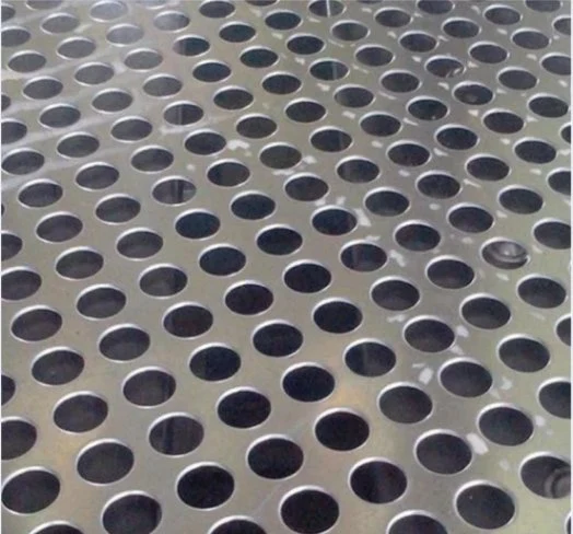 High Quality Galvanized Steel Perforated Metal Sheet (XM-289)