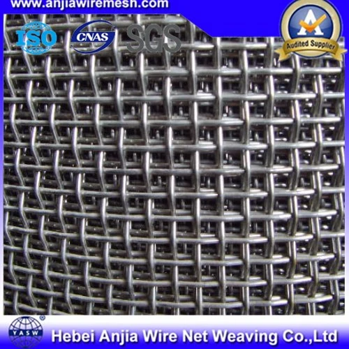 Electro Galvanized Iron Square Wire Mesh Netting (anjia-609) for Sale