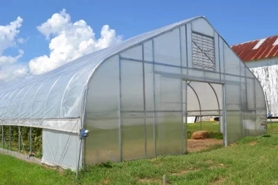 Agriculture Farm Single-Span Film Greenhouse