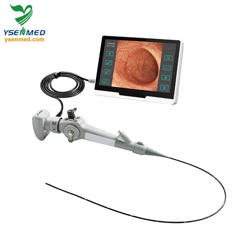 Ysvet-EC130 1000mm con 10,1 pulgadas Equipo médico pantalla táctil portátil Endoscopio de vídeo animal