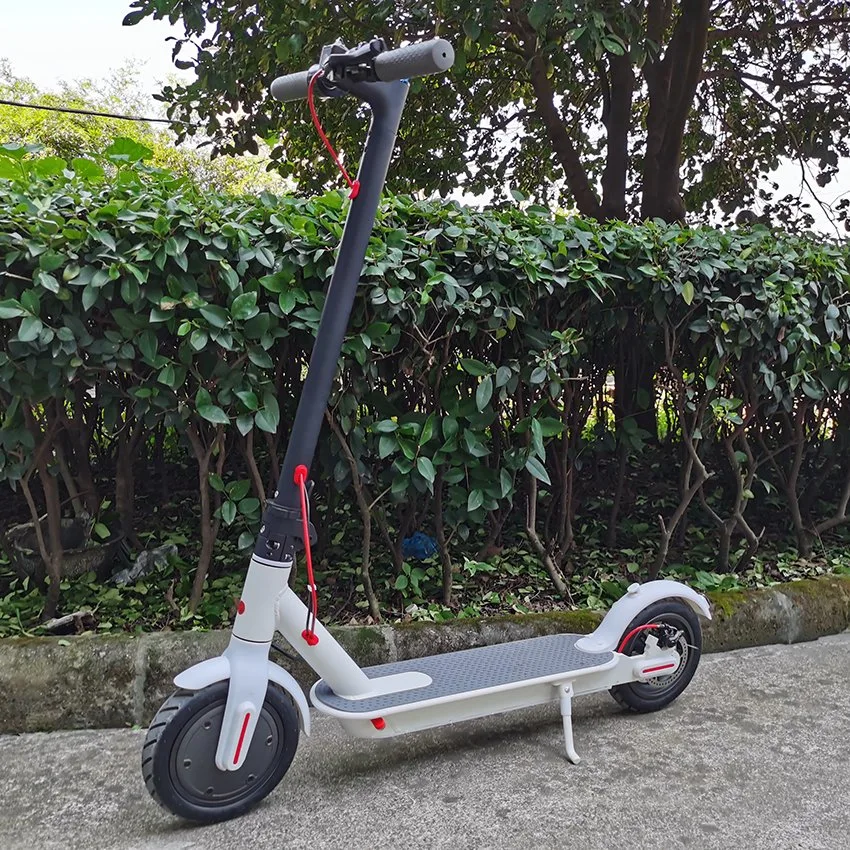 Scooter eléctrico de 8,5 pulgadas 500W Plegar E Scooter de la ciudad de Urbana en la carretera