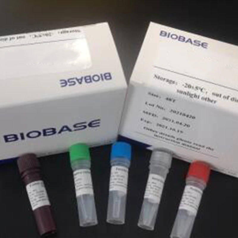 Biobase China RT-qPCR Reagenz Fluoreszenz PCR Kit Echtzeit-Test-Kit