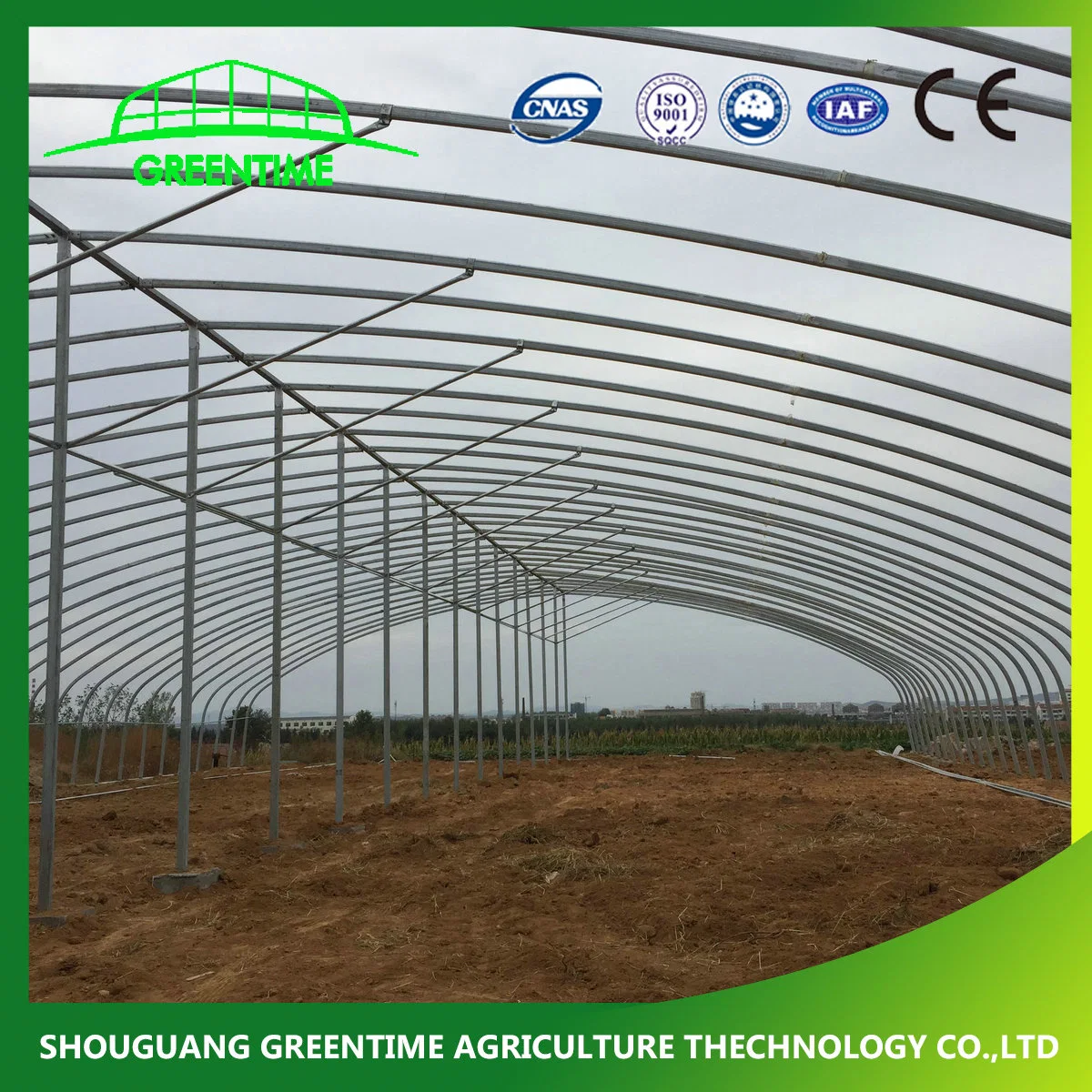 Factory Price High Quality Plastic Film Greenhouse for Flower Hydroponic Growing