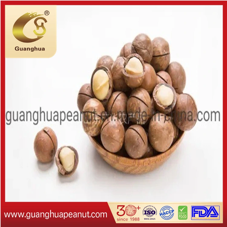 High Grade Roasted Macadamia Nuts with Ce