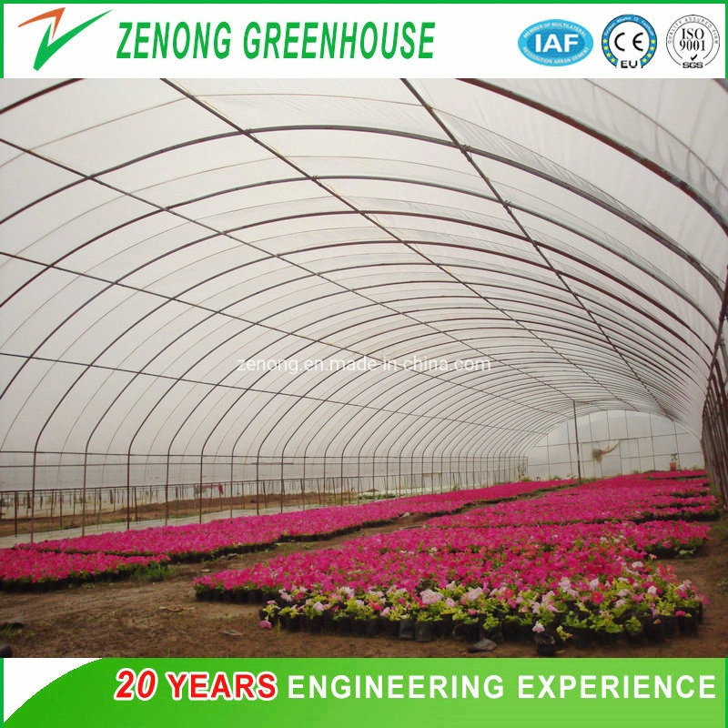 The Newest Agricultural Plastic Tunnel Film Green House for Vegetable Fruit