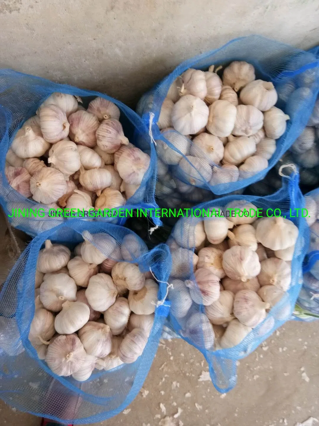 2022 Neue Ernte frischer Knoblauch Erfahrung Direktversorgung Top-Qualität Knoblauch frisch China Herkunft Niedrig Preis frei Probe 4,5cm,5,0cm,5,5cm,6,0cm,6,5cm, rein &amp; normal weiß