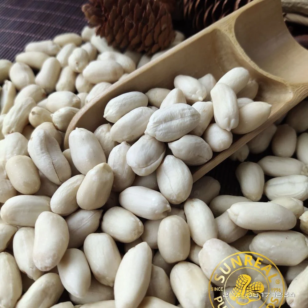 Best Materials/Raw Blanched Peanut Kernels/Virginia/High quality/High cost performance 