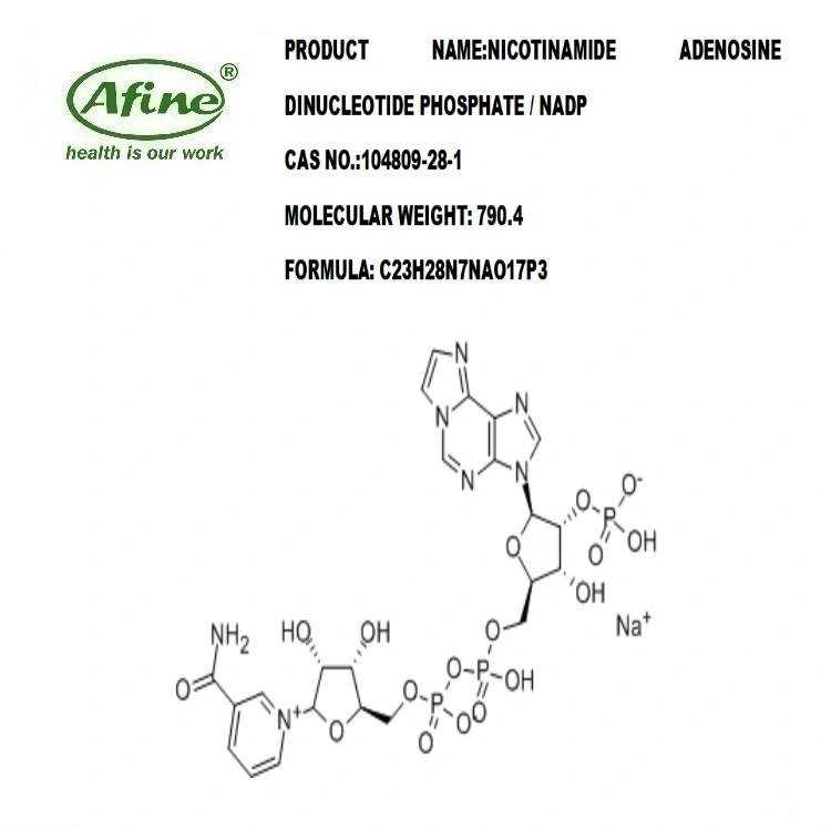 CAS 104809-28-1 Nicotinamide Adenosine Dinucleotide Phosphate