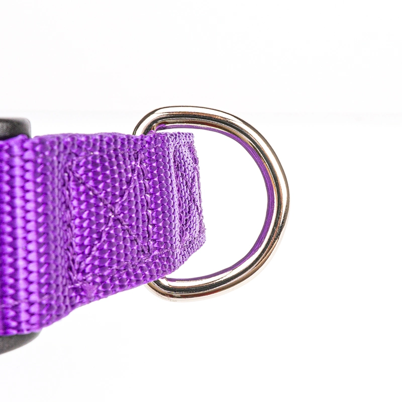 Wholesale/Supplier Pet Supply in Stock Nylon Neoprene Small POM Buckle Nylon Dog Collar