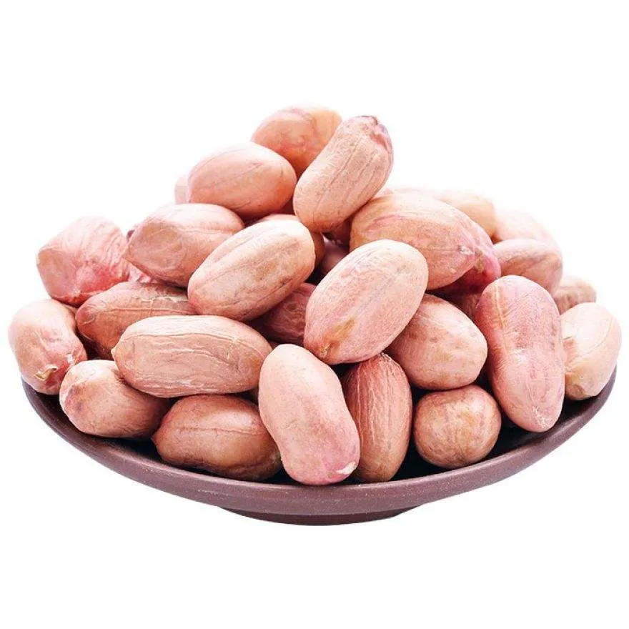 China Peanut Big Size Peanut Kernel Red Skin Cheap Price Good Quality