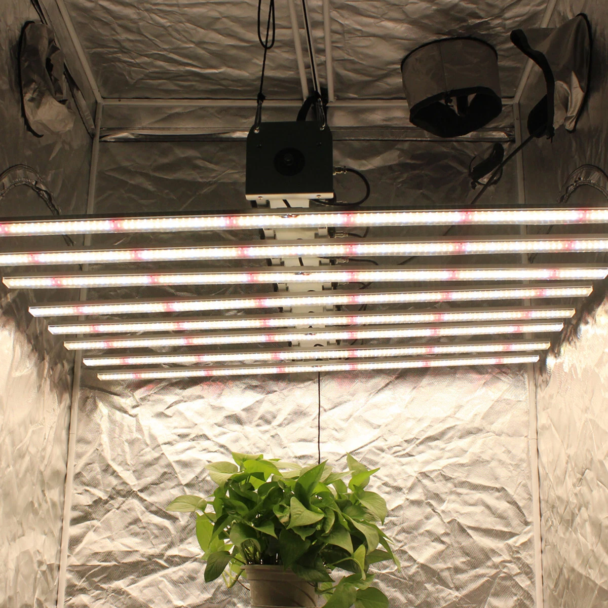 800W 1000W Professional Full Spectrum China 600nm Plant Grow LED Light