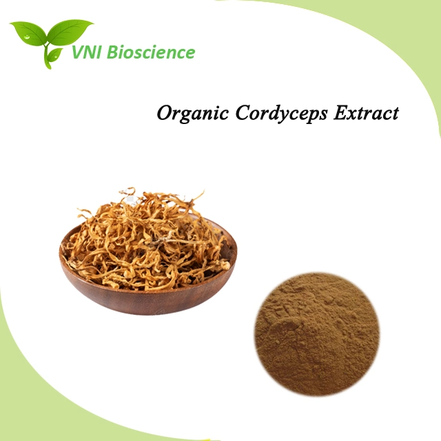 Kosher Halal Certified Natural Mushroom Cordycepin Organic Cordyceps Sinensis Extract