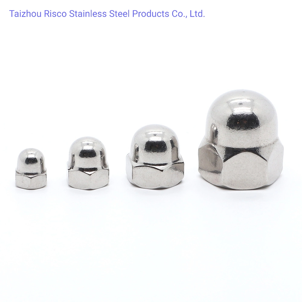 A2-70 A4-70/80 SS304/316 Chinese Manufacturer Fastener Cap Nut