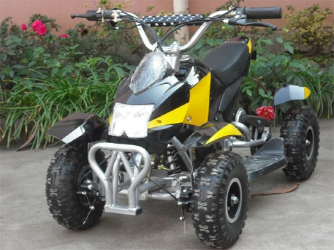 800W Motor Mini Electric ATV Quads (ET-EATV024)