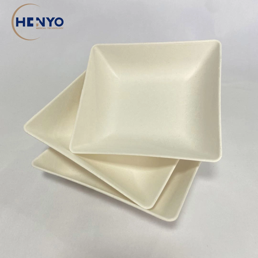 130*120 Disposable Biodegradable Bagasse Food Container for Party Supplies