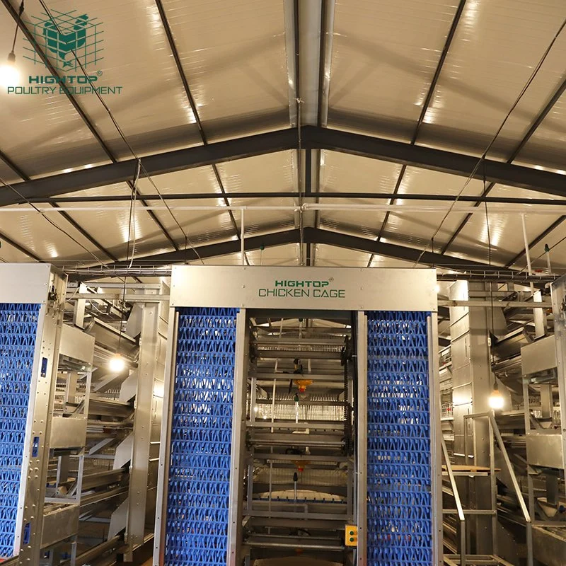 Hot DIP Galvanized H Type Automatic Layer Chicken Cage System