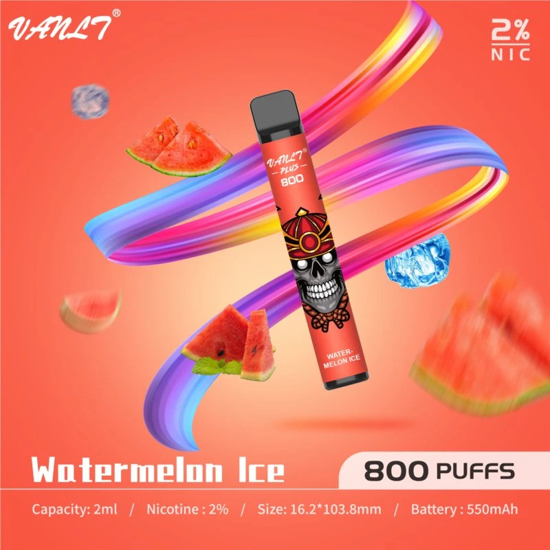 Factory Price Watermelon Ice Disposable/Chargeable Vape Pen