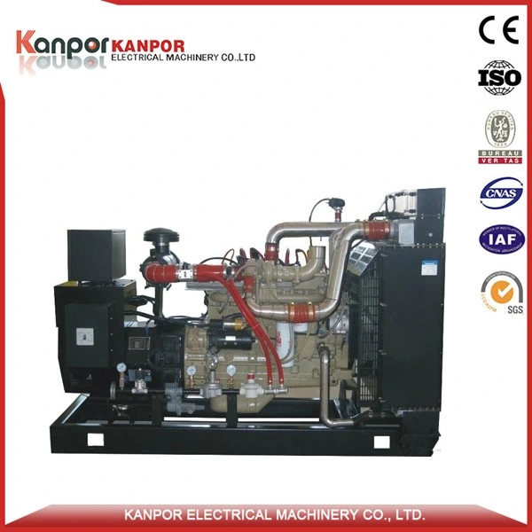 Grupo Electrógeno eléctrico de Gas Cummins 25kw Propane Genset