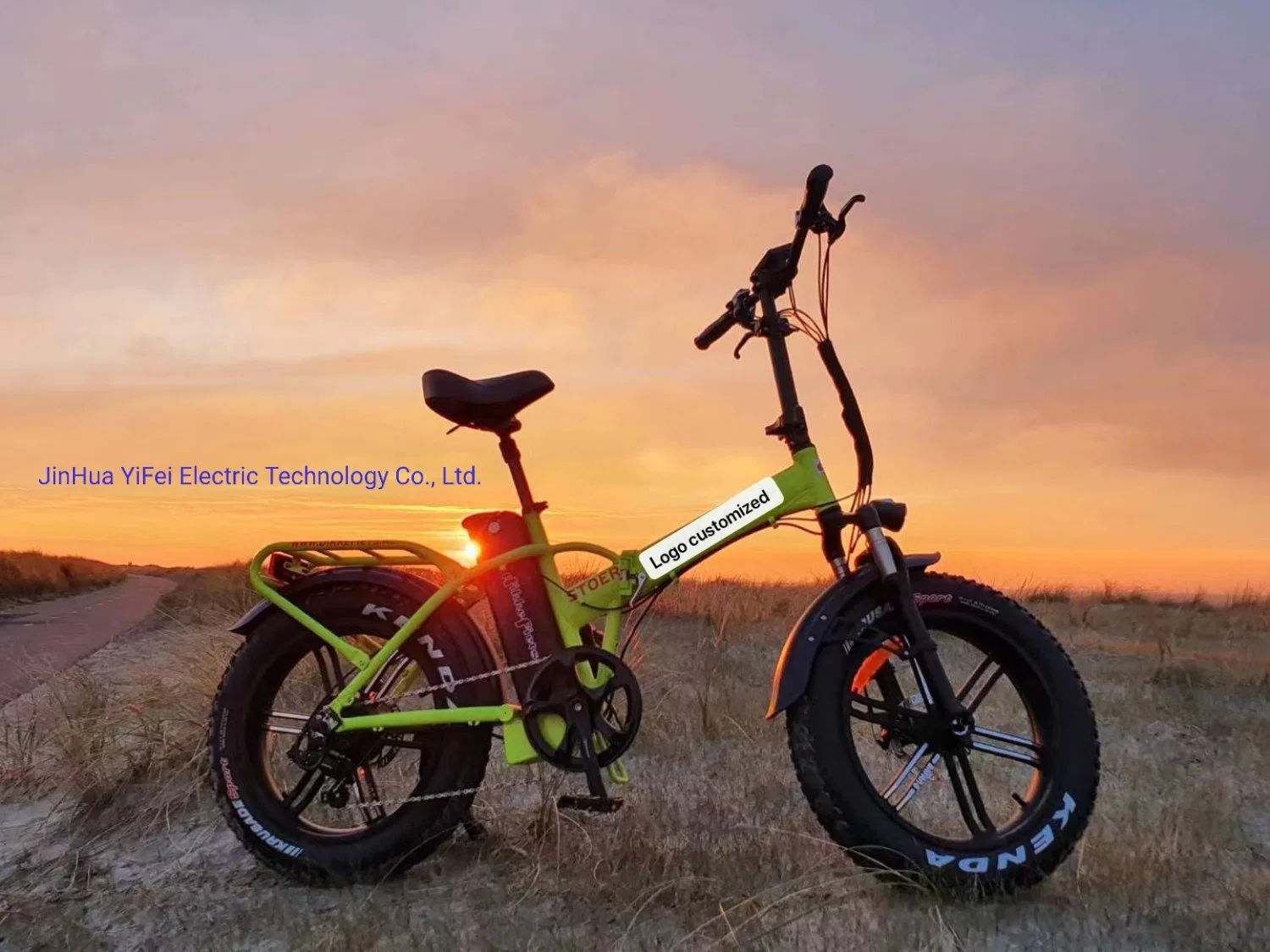 Mountain 20inch E-Bike Electric Folding Frame Bicycle Electric Battery Bike Factory China