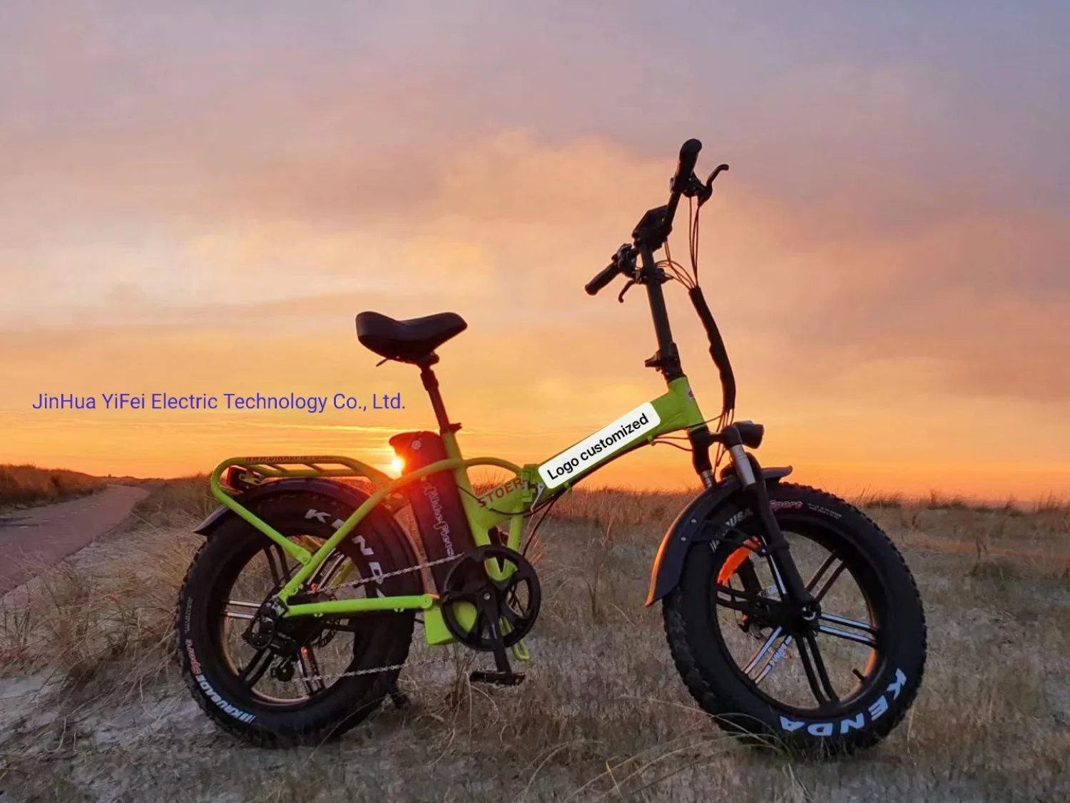 Mountain 20 POLEGADAS E-bike rebatimento eléctrico Frame Aluguer de bateria elétrica Bike fábrica na China