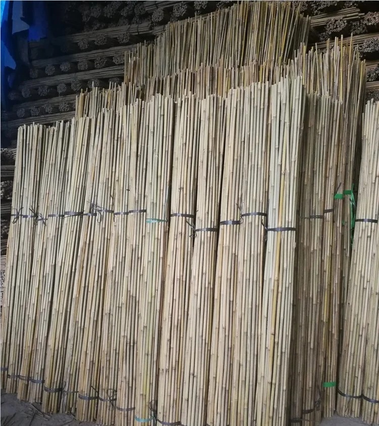 Bamboo Poles/Canes/Stakes Poles for Garden Plant Support