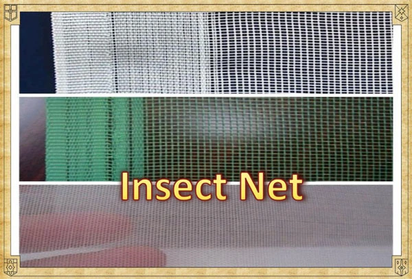 White Color Anti Insect Net and Fruit Covering Net