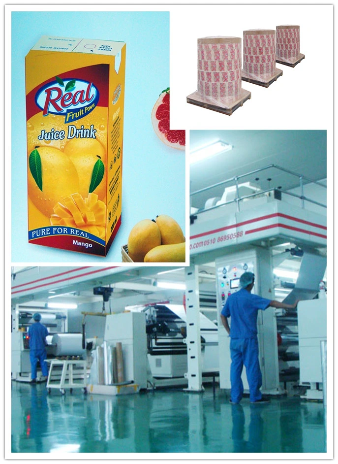 Emballage aseptique de haute qualité Heli Pack/200ml 250ml 500ml 1000ml Emballage aseptique Brick Pack/Emballage aseptique pour le lait