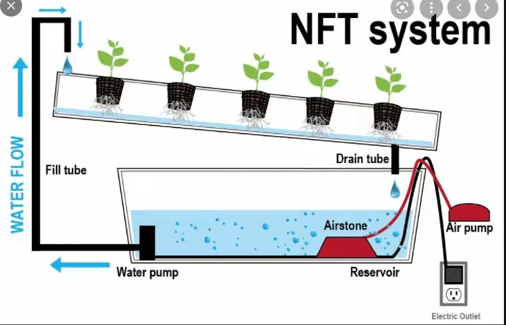 Verticle Growing Systems Indoor Smart Home Hydroponics Vertical Farm Hydroponic System