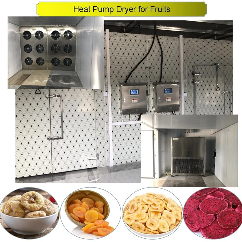 Multiple Temperature Control Electric Fruit Dryers Peach Olive Drying Machine