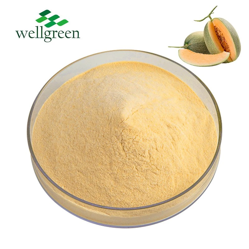 China Fruit Vegetable Powder Factory Supply Water Soluble Juice Green Melon Cantaloupe Powder