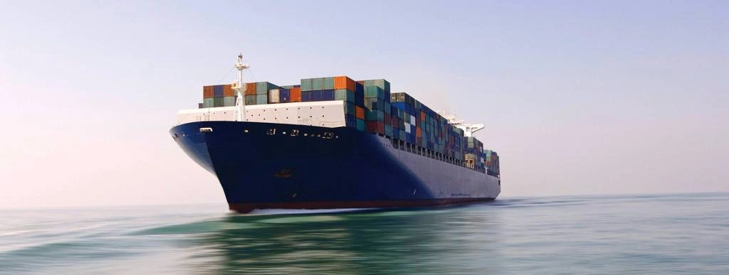 Professional Sea Forwarder Shipping Agent/Cheap Freight Cost Rates From China to Cyprus