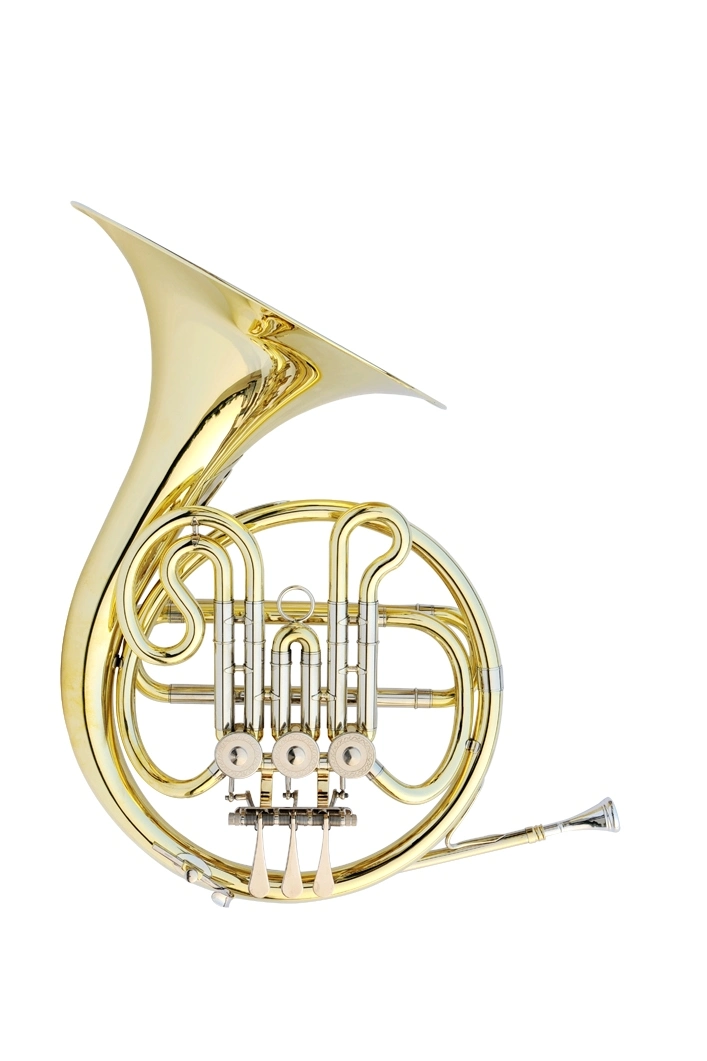 Student French Horn for Beginner Manufacturer