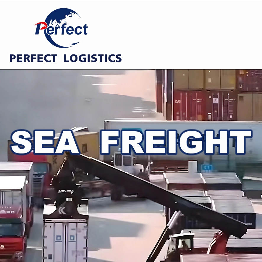 DDP Freight Service China to Saudi Arabia Door to Door Shipping Sea Freight